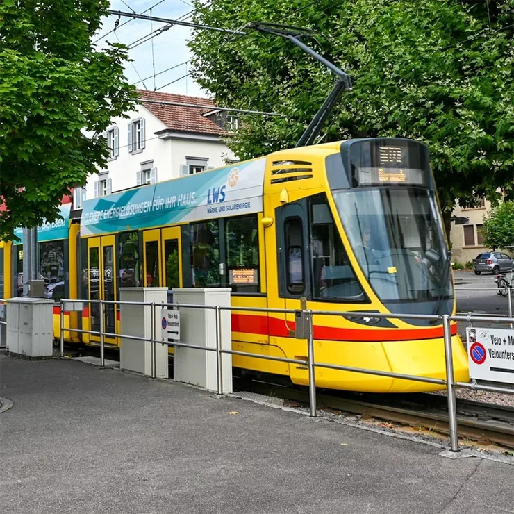 01 thumb oberwil 01