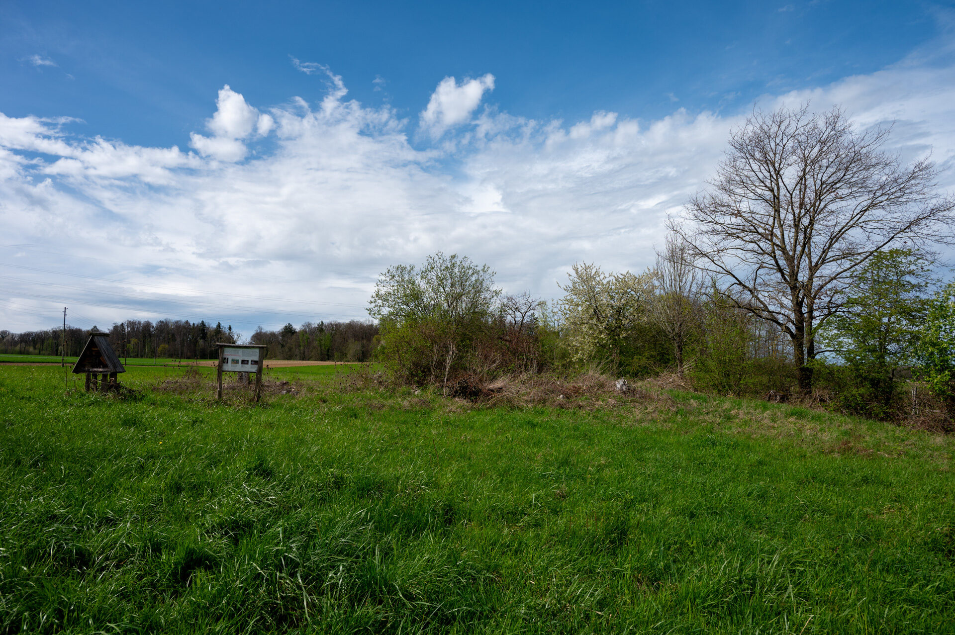 05 lebensraum hecke 08