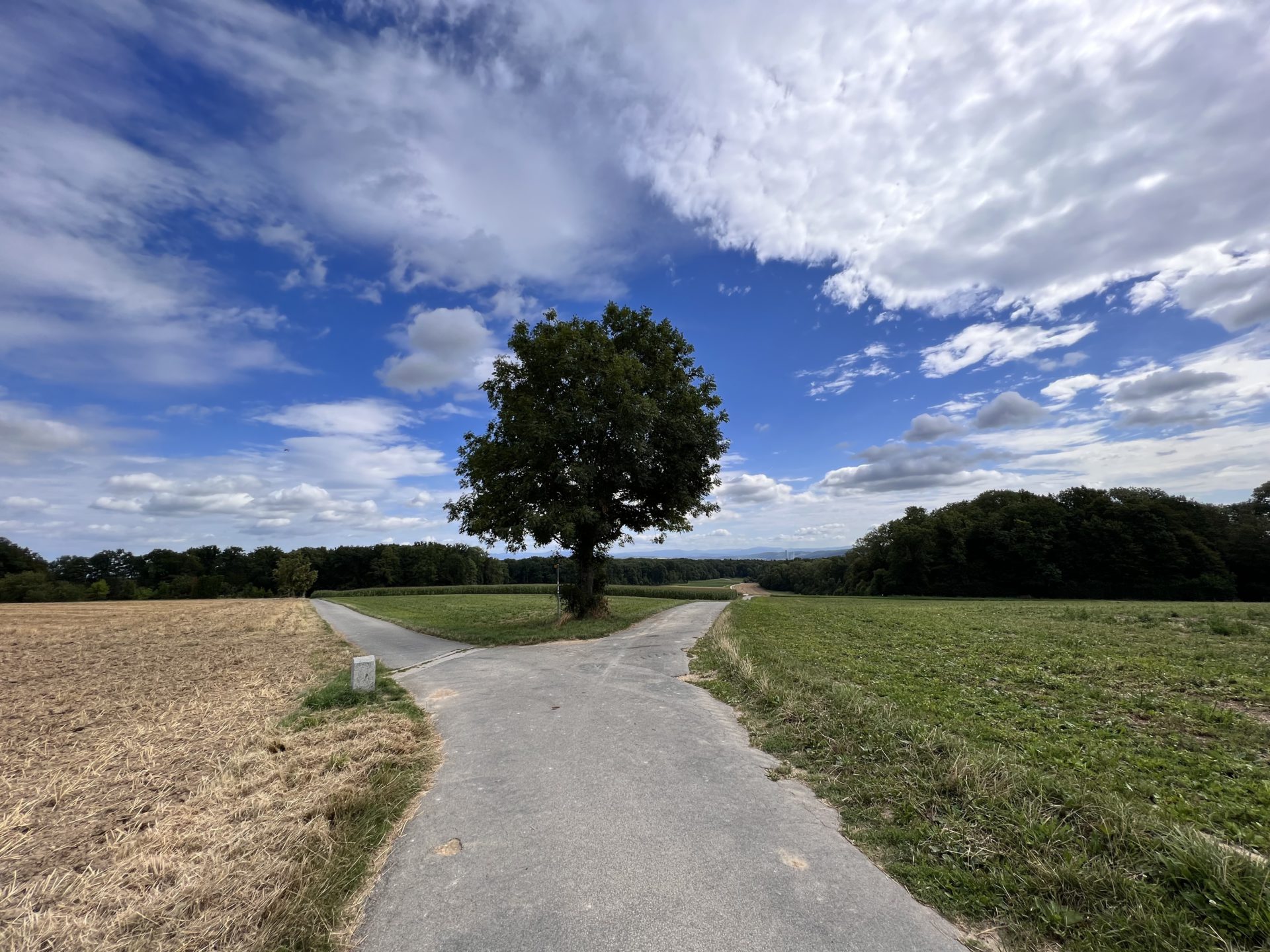 Geschichtspfad02
