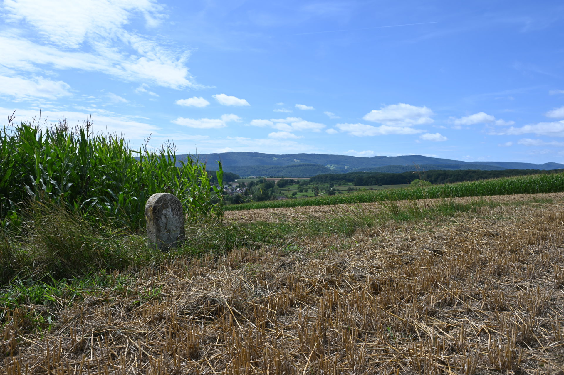 Geschichtspfad07