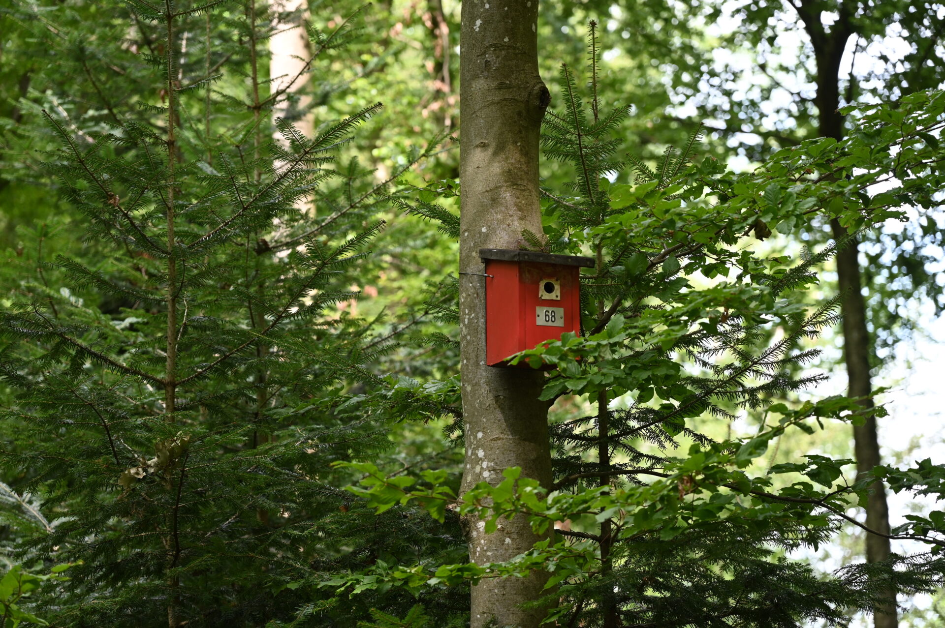 Geschichtspfad15